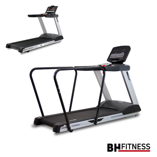 Deux tapis de course professionnels de marque BH Fitness